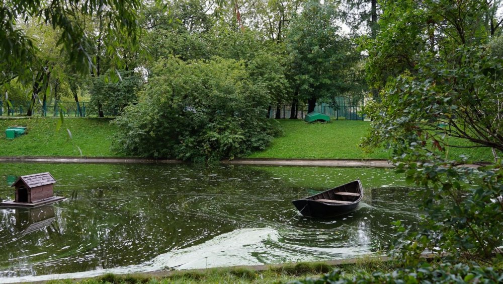 Пруды на проспекте Вернадского