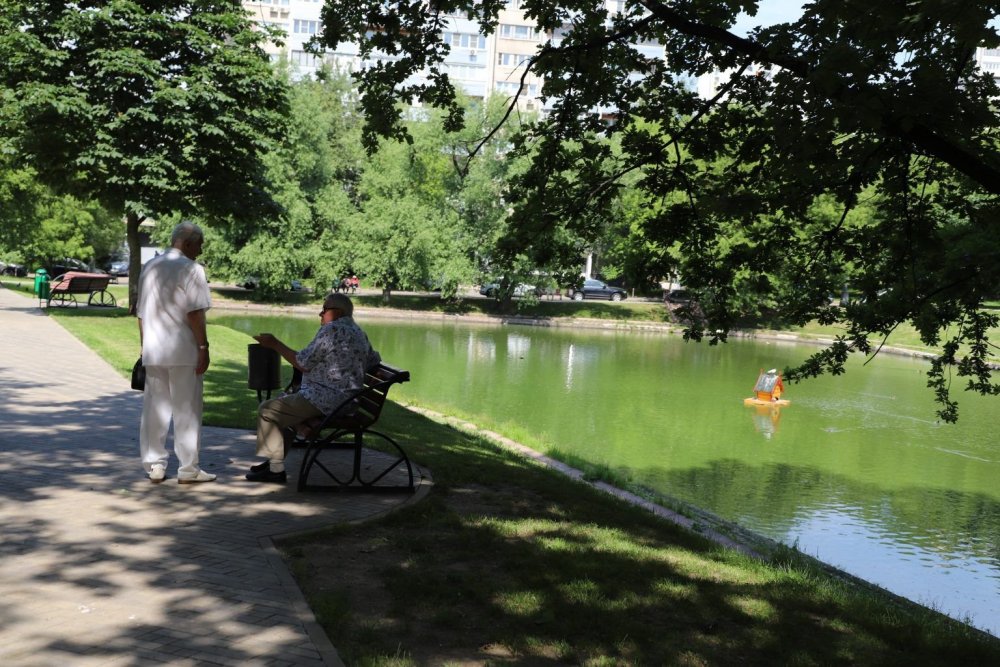 Парк Мосфильмовский пруд