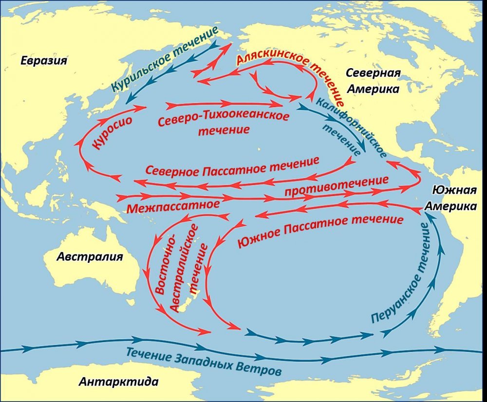 Тёплые течения Тихого океана Куросио