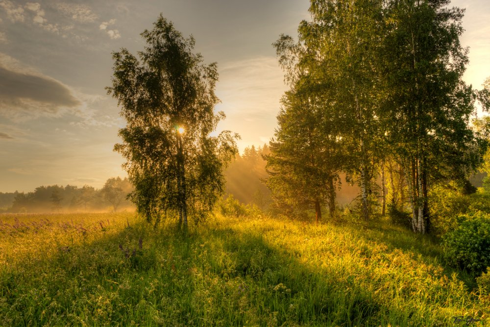 Владимир Рябков фотопейзажи