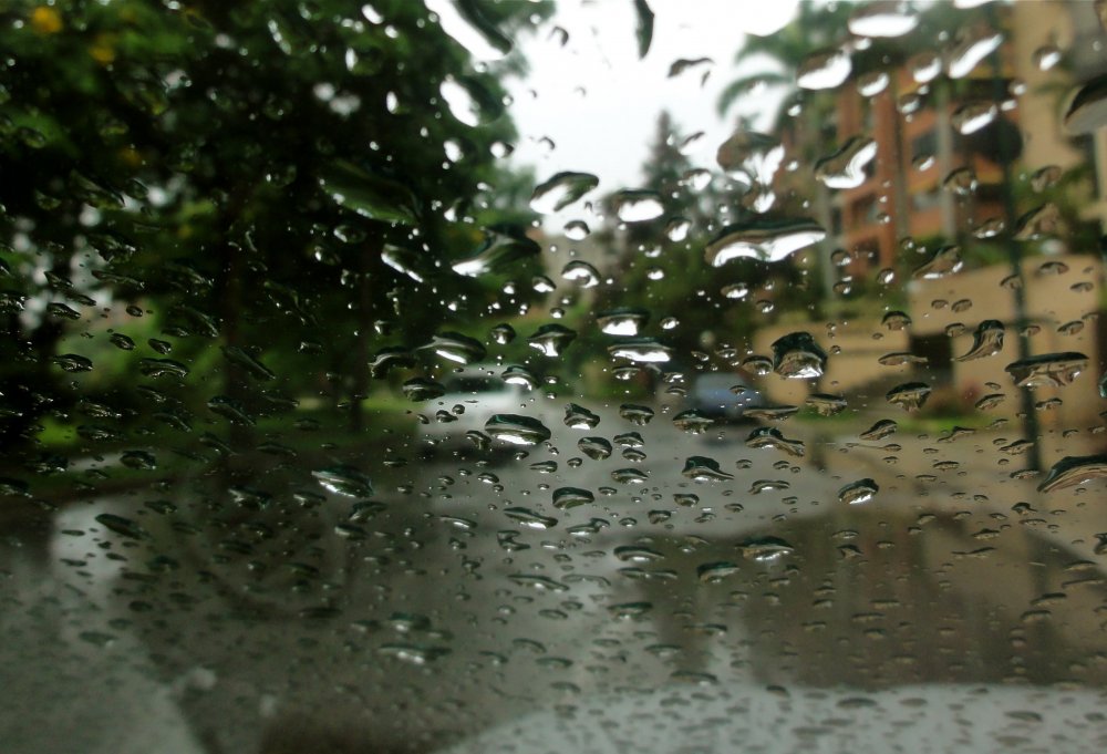 Дождь за окном фото