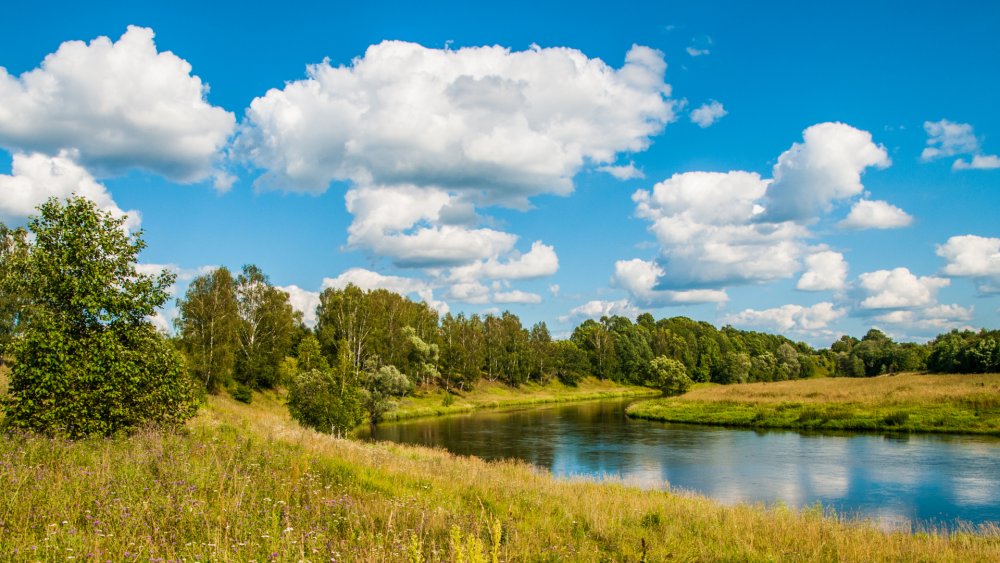 Красота русской природы