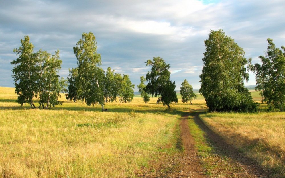 Лесостепь степь, полосы России