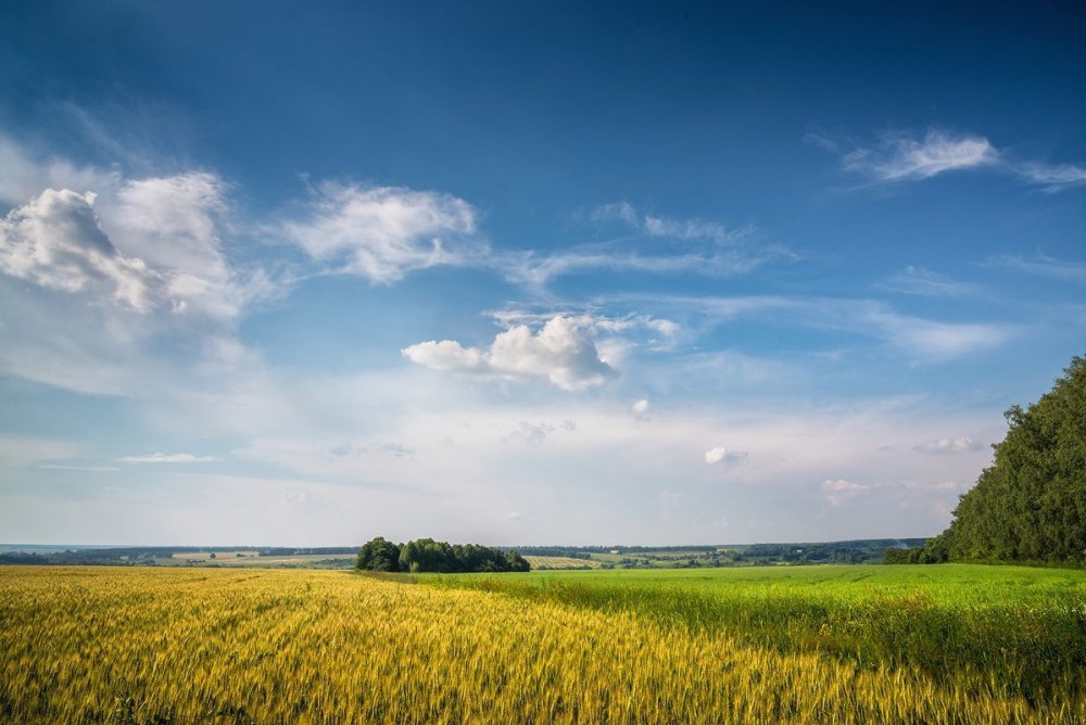 Ясногорск Тульская область природа