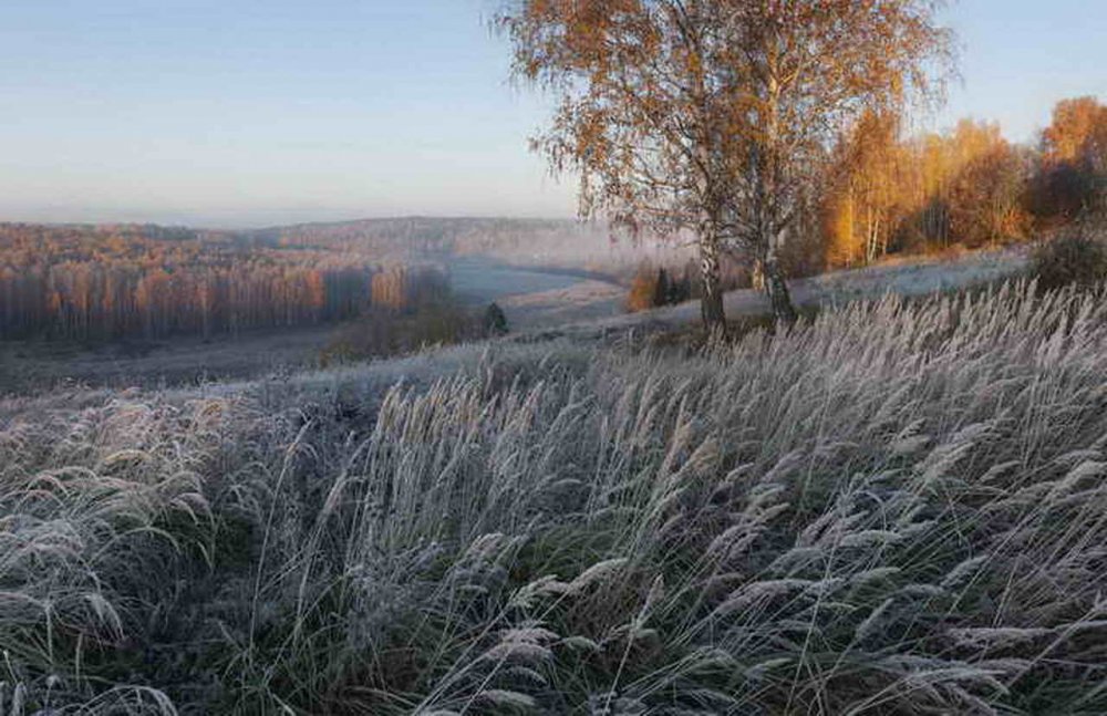 Первые заморозки осенью