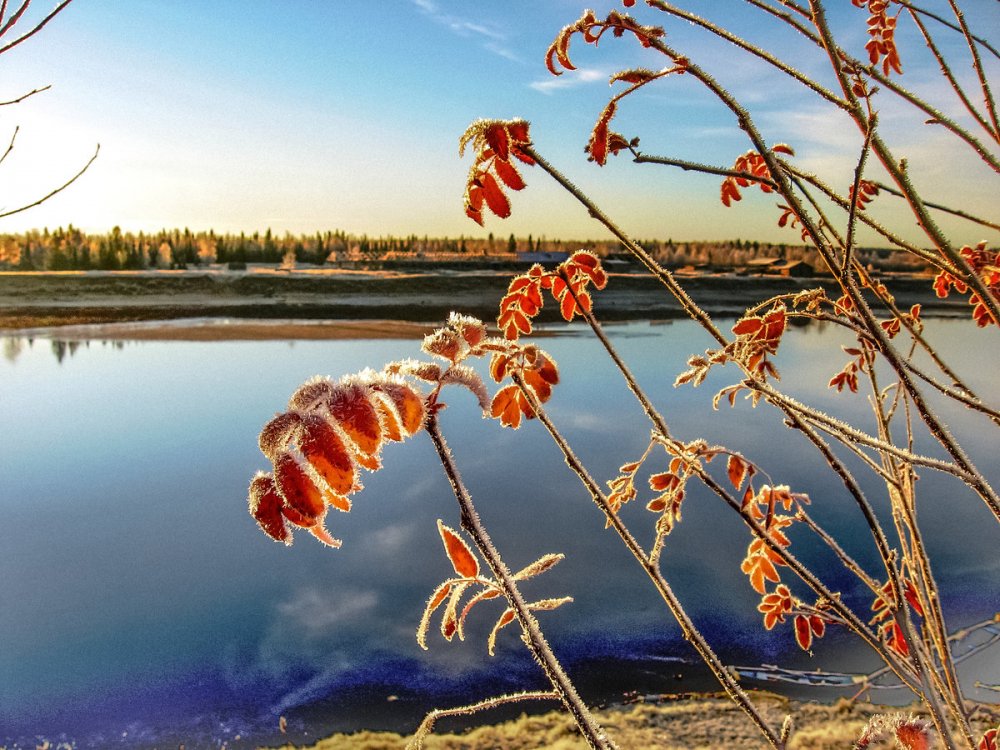 Заморозки в сентябре