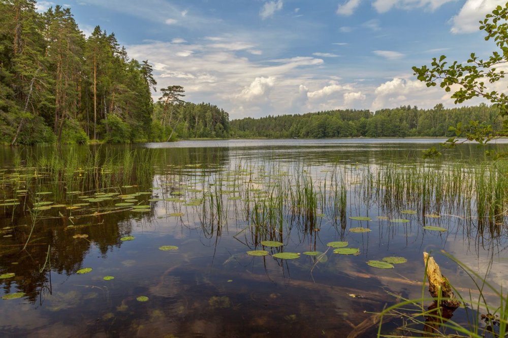 Озеро малый Тараскуль