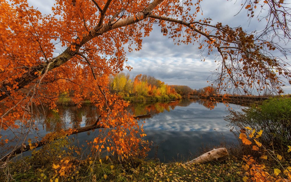 Осень река