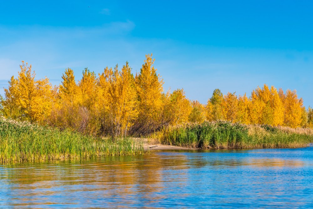 Река осенью