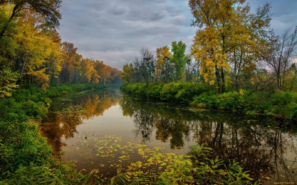 Золотая осень река Ишим