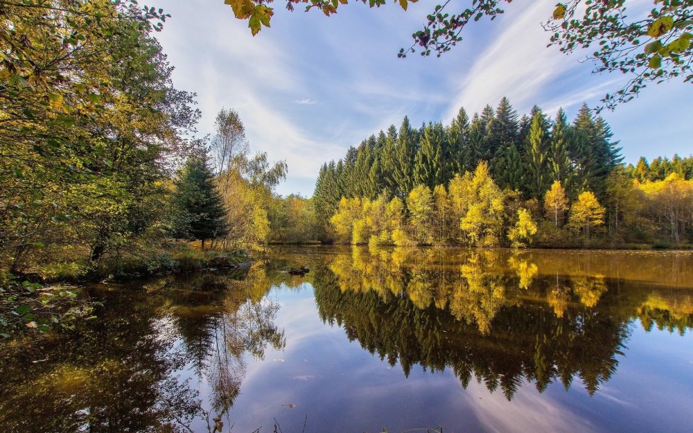 Осень река лес озеро