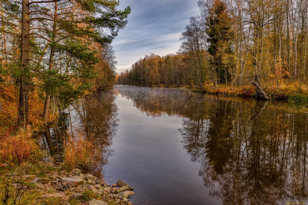 Река Тулва осень