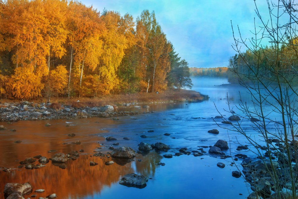 Река Тулва осень