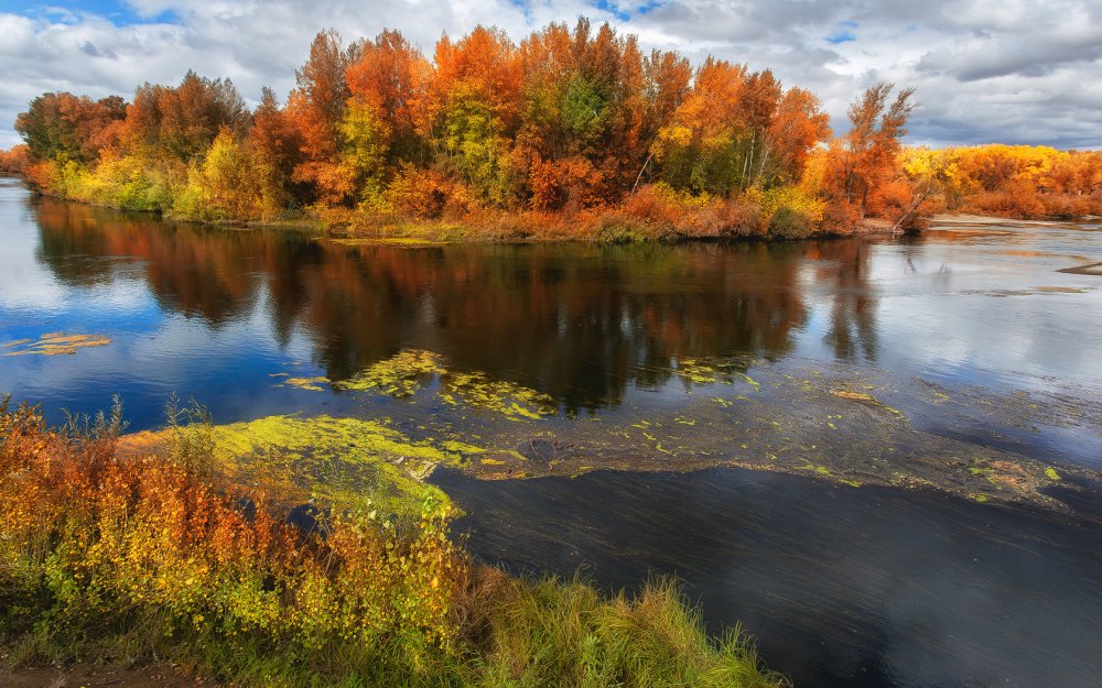 Река Тулва осень