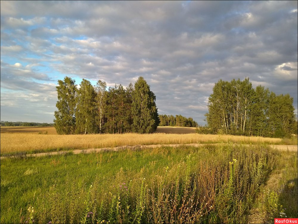 Подмосковье полдень