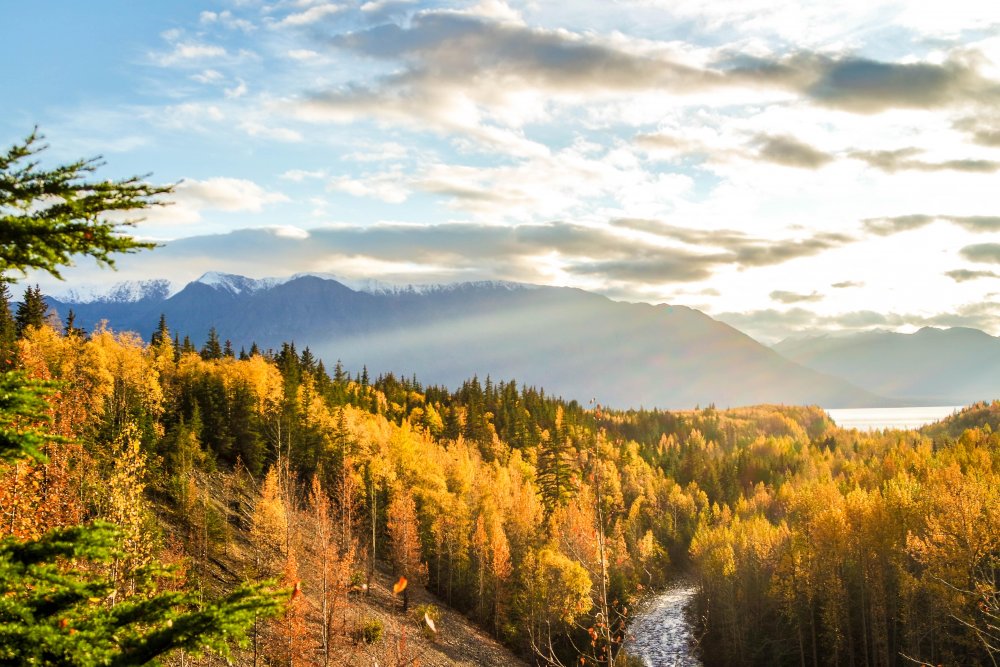 Chugach National Forest