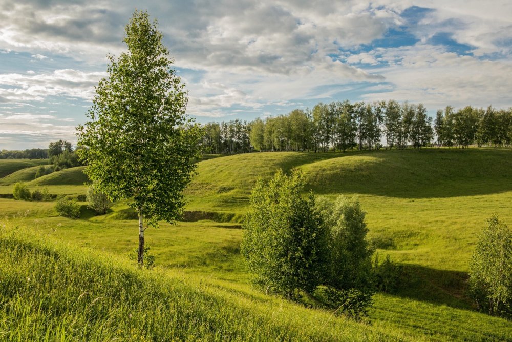 Природа , Республика Татарстан (Татарстан)