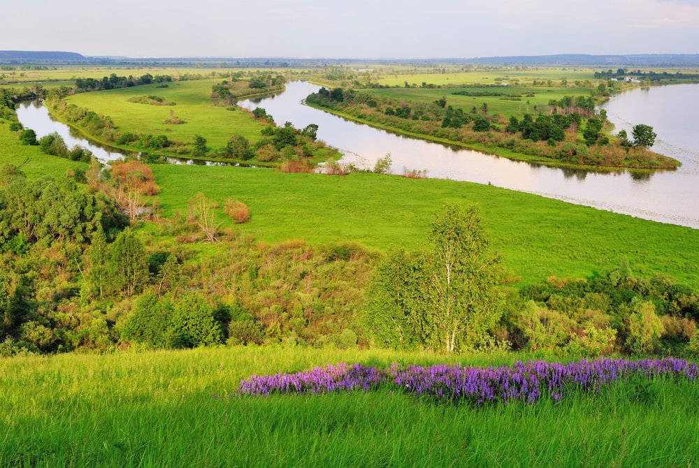 Парк заповедник нижняя Кама