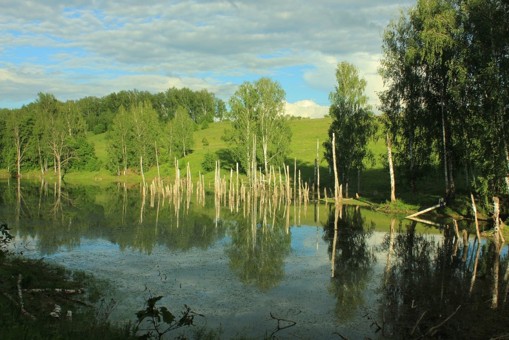 Болото в Татарстане