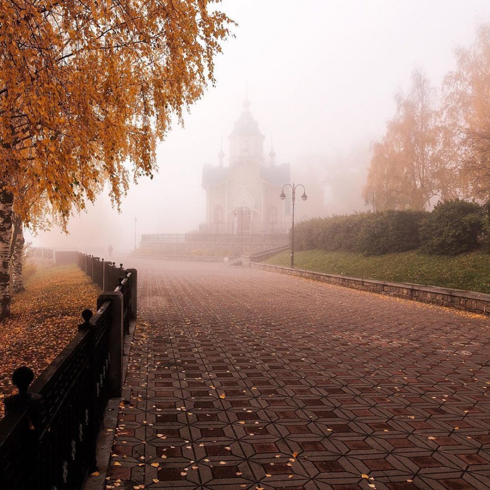 Пасмурная осень в городе