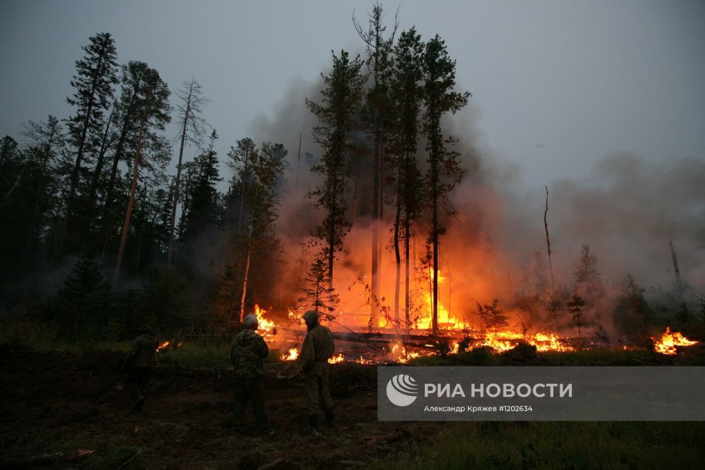 Пожары на Дальнем востоке