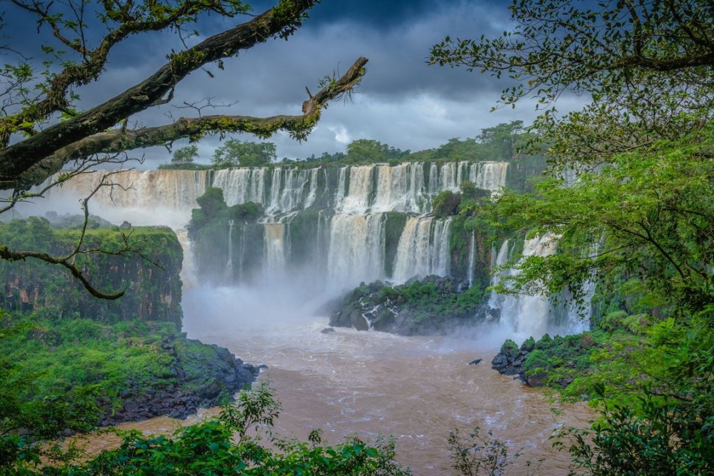 Тропические леса Бразилии водопады