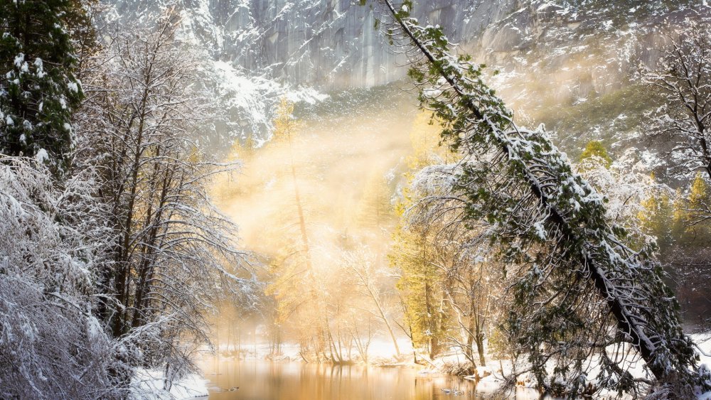 Зима лес река солнце