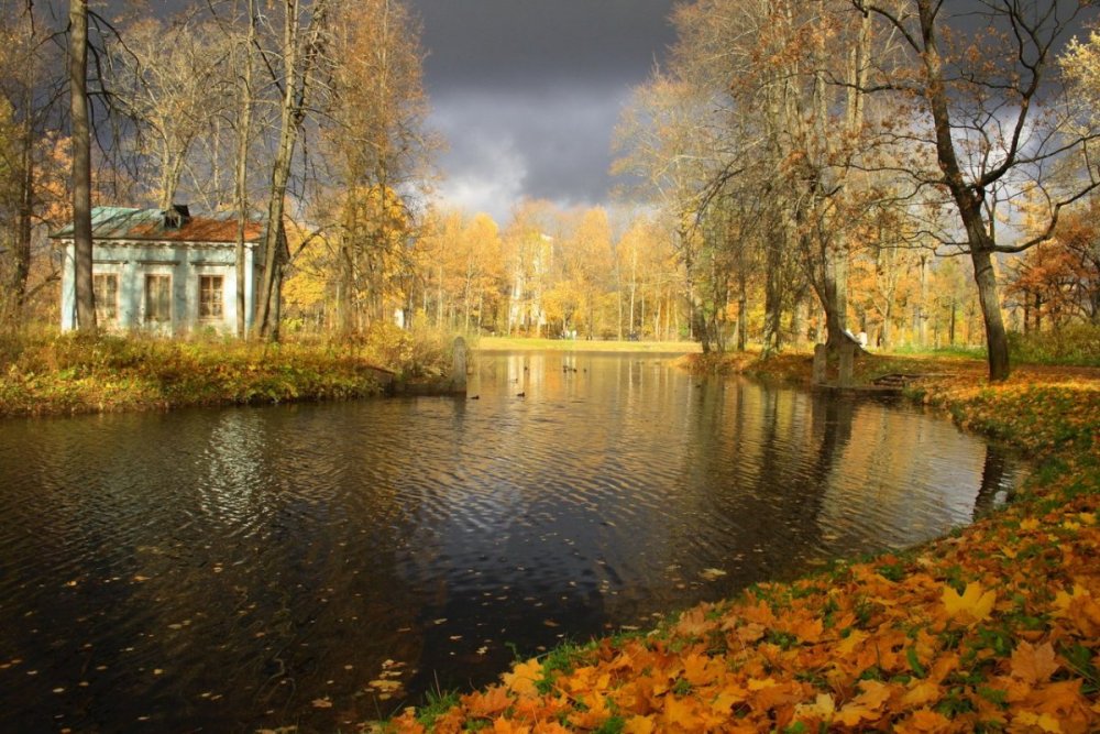 Александровский парк Царское село осень