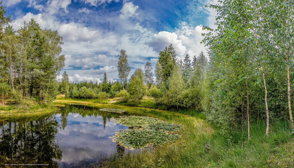 Река Березка Тверская область