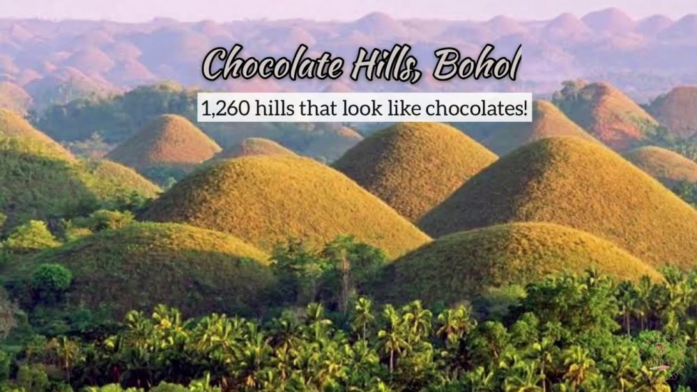 Шоколадные холмы Бохол