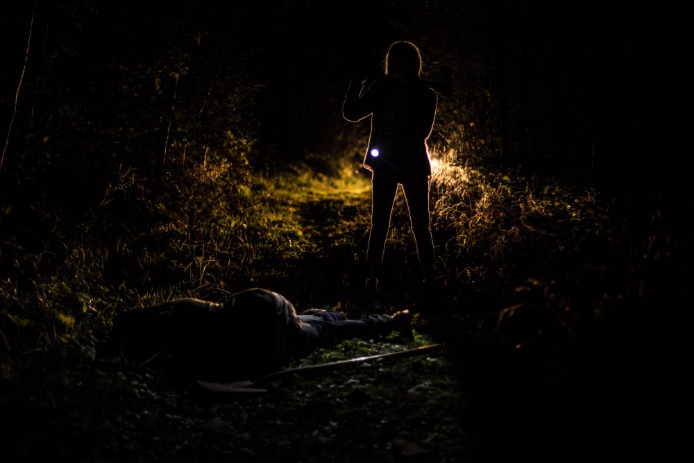 Силуэты в лесу ночью