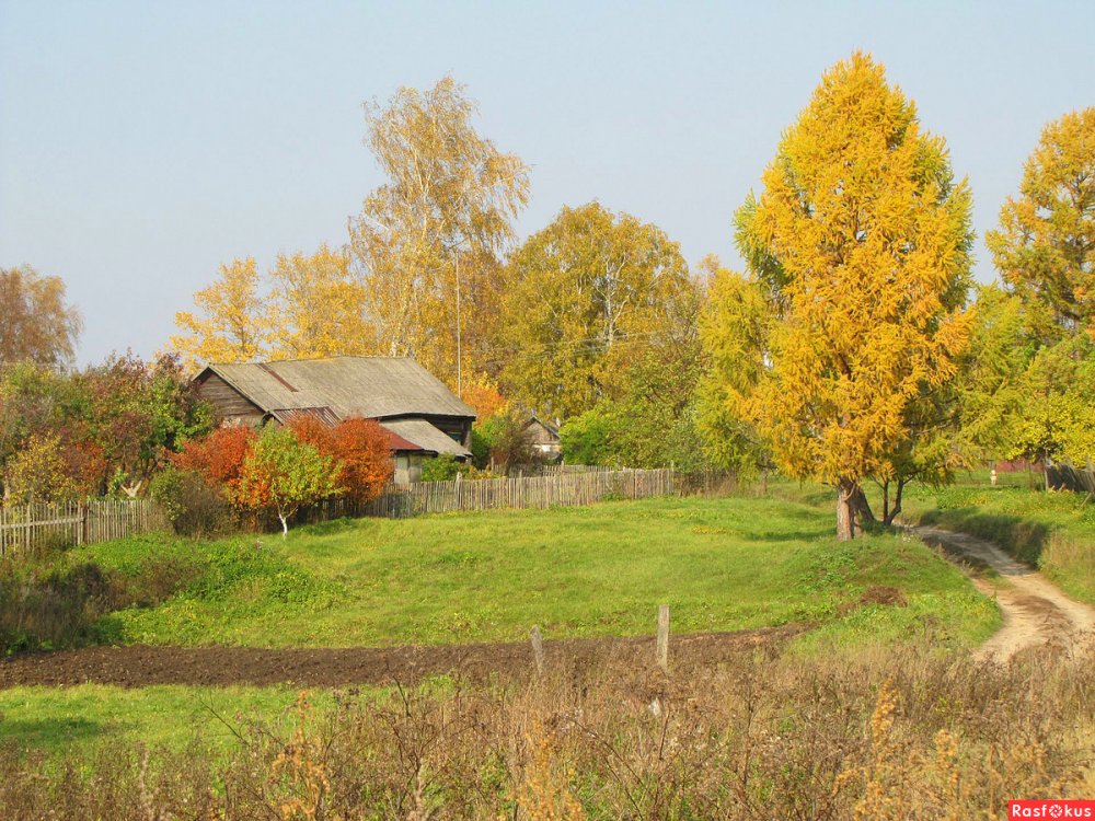 Осень деревня Зенькино