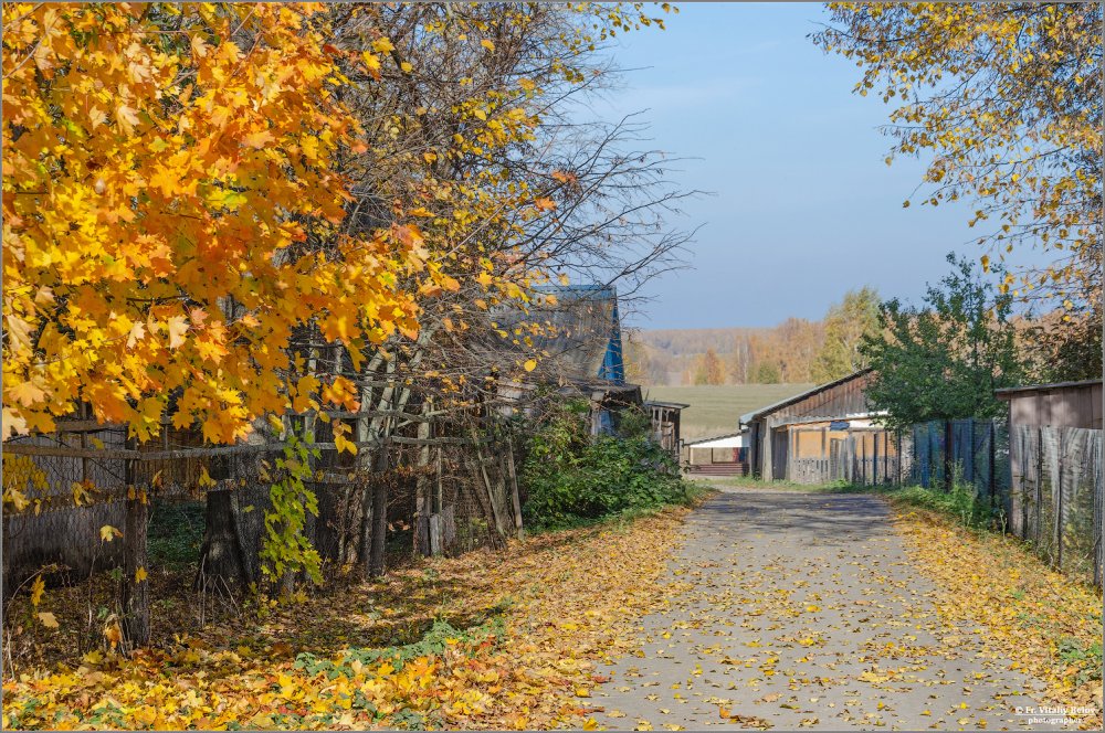 Осень деревня Зенькино