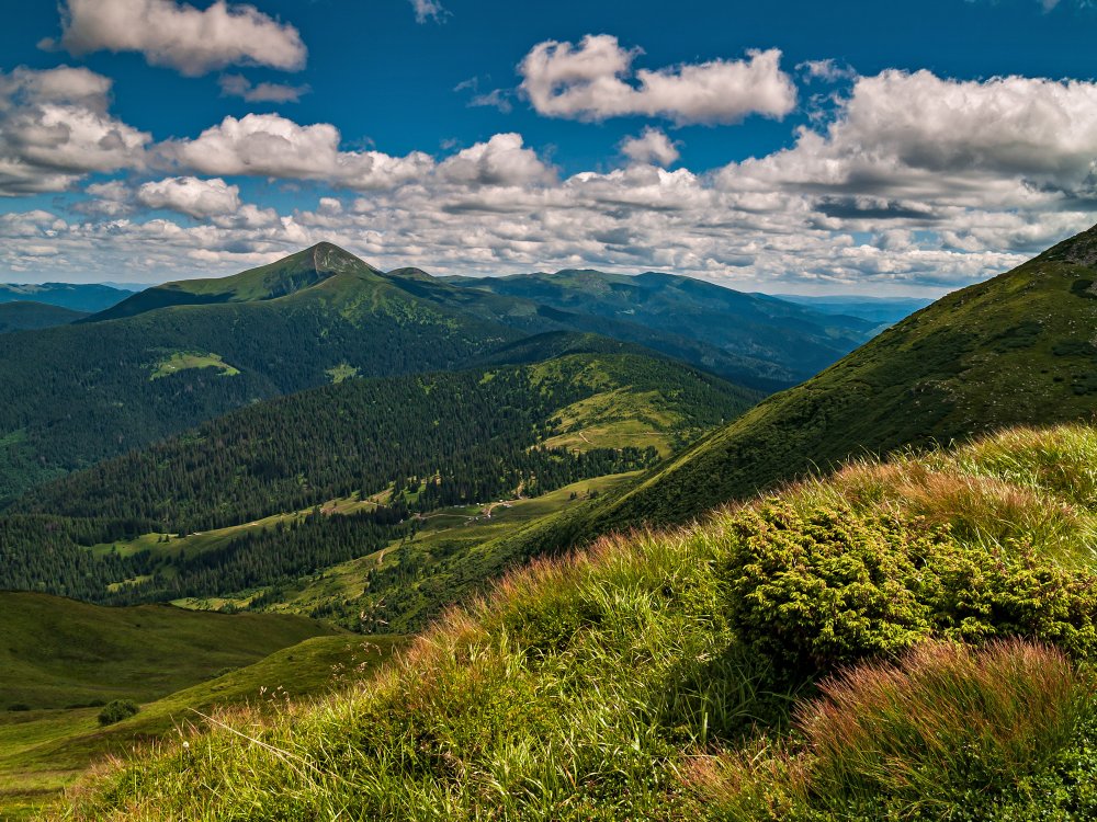 Гора Златибор Карпаты