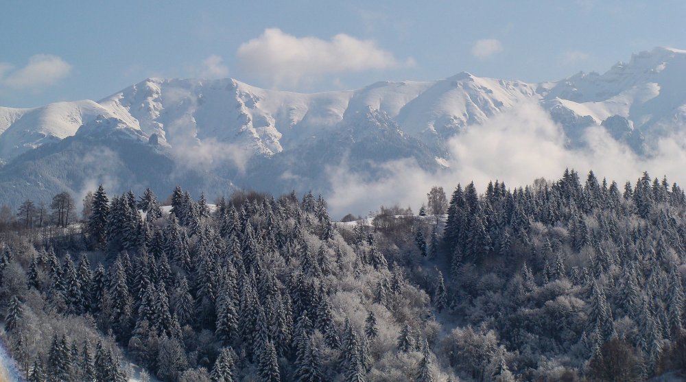 Карпатские горы Закарпатье