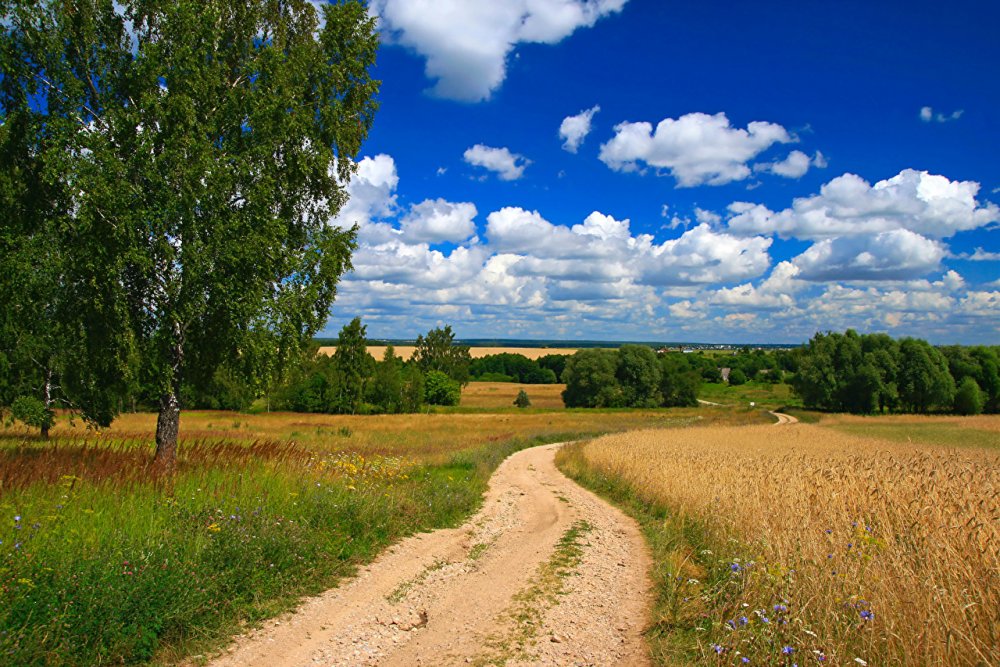 Родные просторы Пушгоры панорама