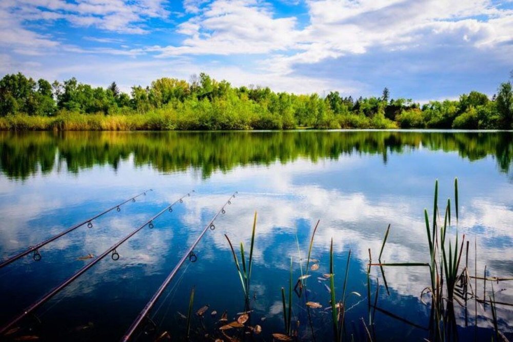 Озеро кучки Севастополь