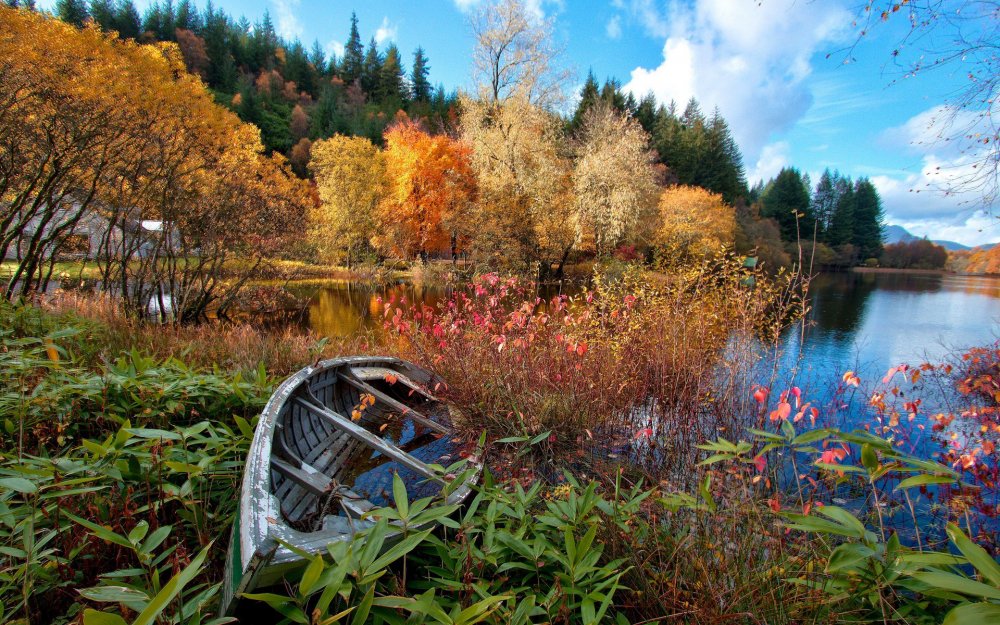 Осень река лес озеро