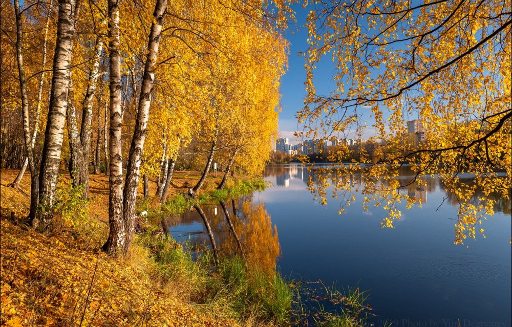 Балашиха осень Пехорка