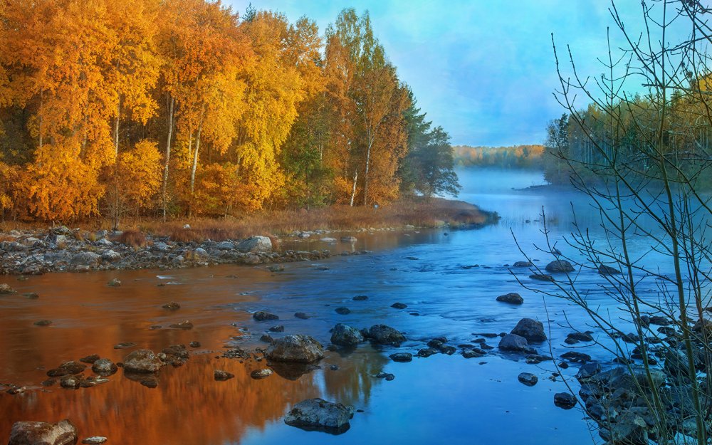 Поназырево осень река