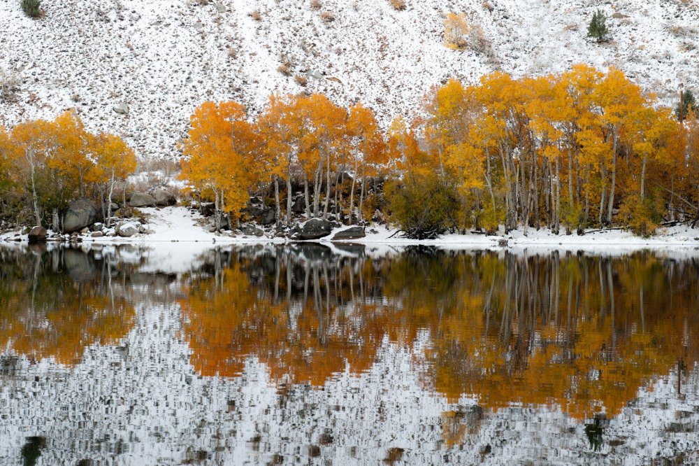 Поздняя осень