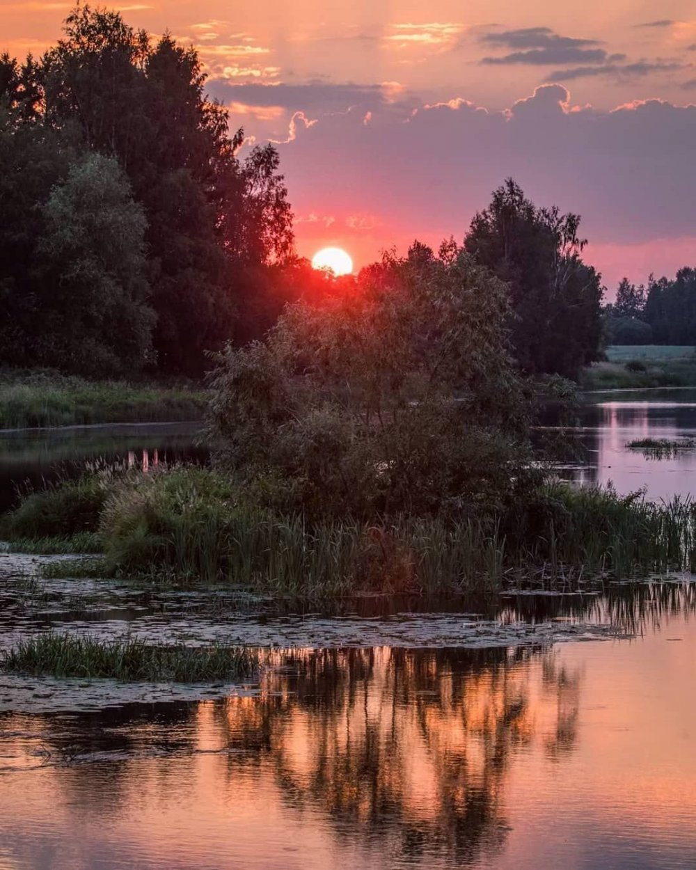 Панорама деревни летом