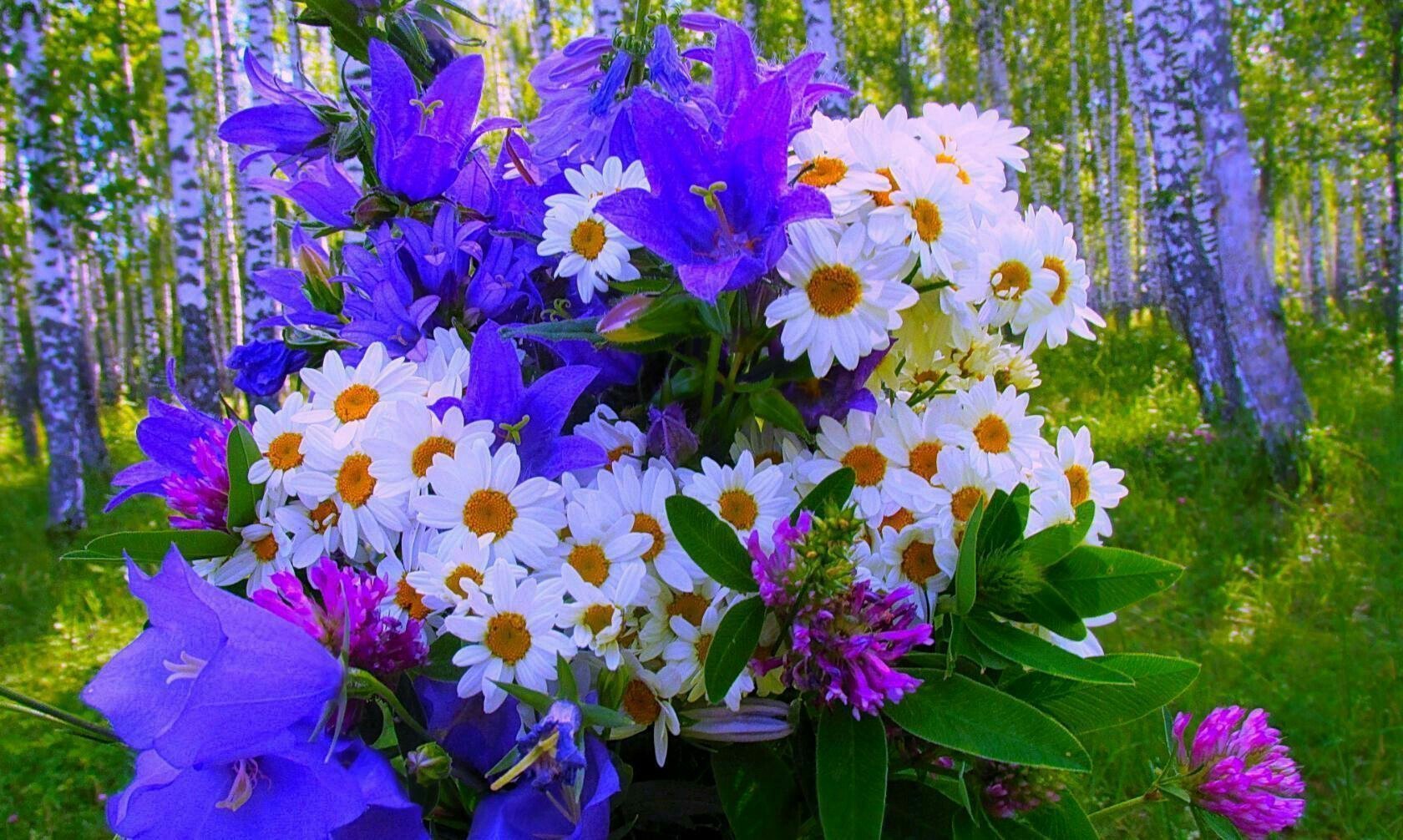 Букет Весенних Полевых Цветов