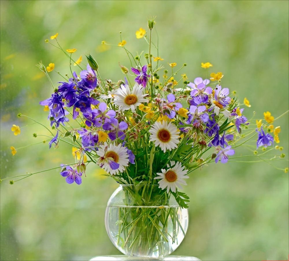 Букет полевых цветов с ромашками