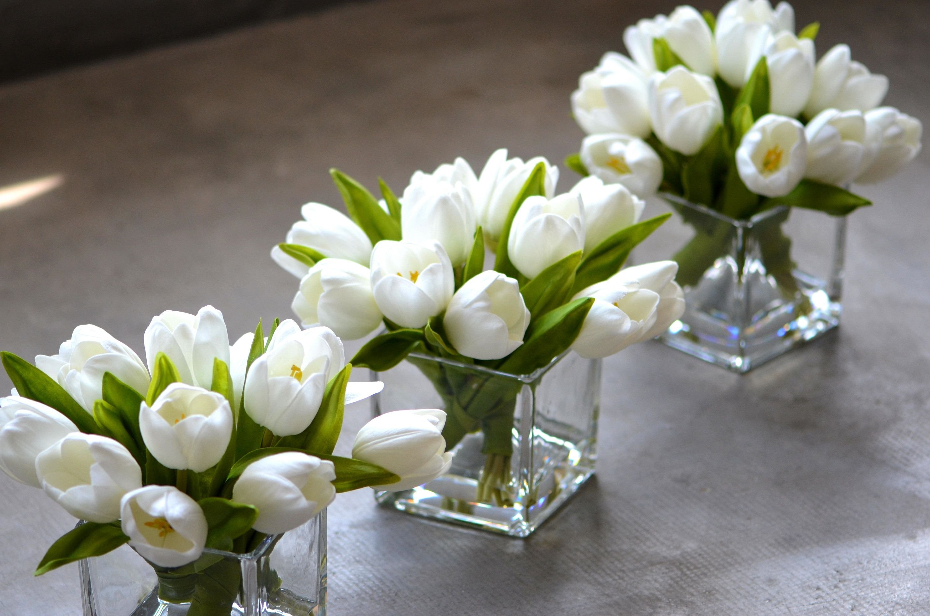 Украшение свадьбы белыми тюльпанами