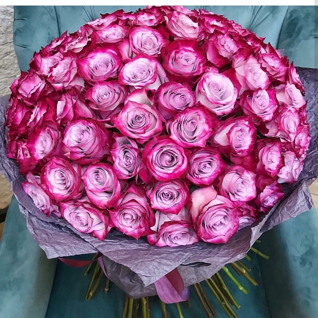 букет роз фото красивые необычные