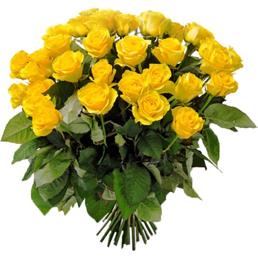 Красивый букет из желтых роз