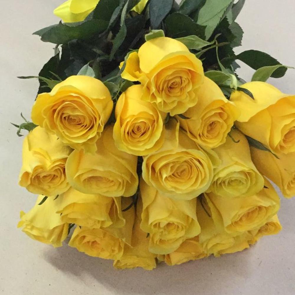 Роза желтая (30-40 см.)