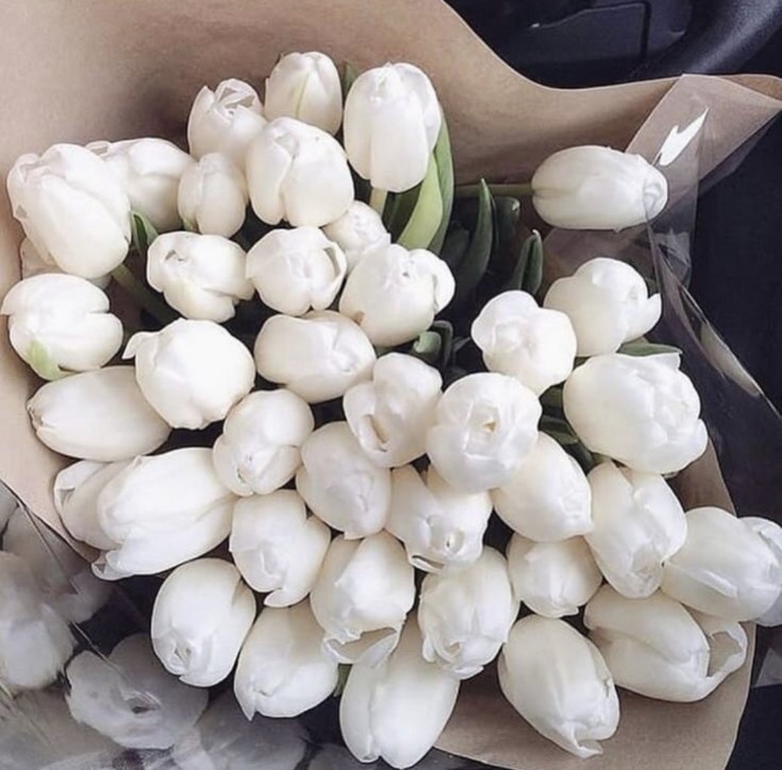 Красивый букет из белых тюльпанов