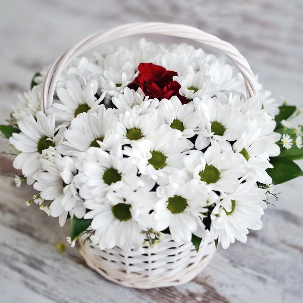 букет белых хризантем картинки красивые